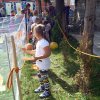 dsc03883