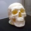 11061773_854137478015720_3382351294592355310_n