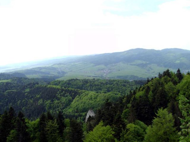 dsc08828