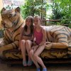 dsc06590