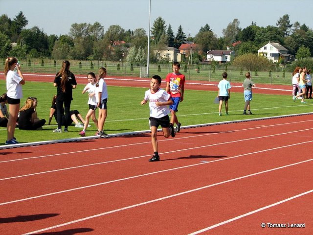 img_8528