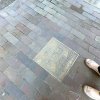 DSCF1655