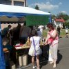 DSCF5084