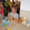 DSC07887-003