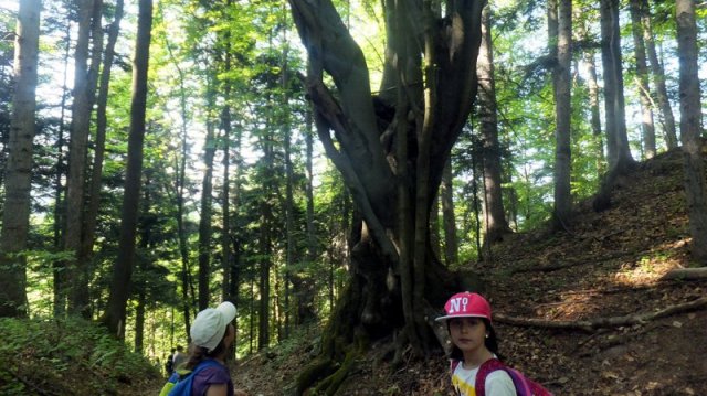 b055