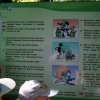 DSC00693